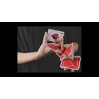 Flexible kártya - piros, 1 csomag Flexible kártya - piros, 1 csomag