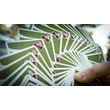 Cherry Casino kártya - Sahara Green, 1 csomag - csomagolás sérült