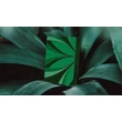 Green Wave kártya