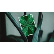 Green Wave kártya, 1 csomag