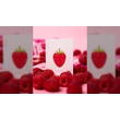 Raspberry Snackers V4 kártya, 1 csomag