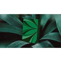Green Wave kártya